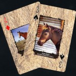 Personalized playing cards to benefit Happy Horse Haven Rescue